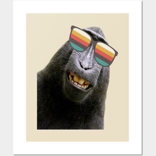 Funky monkey Posters and Art